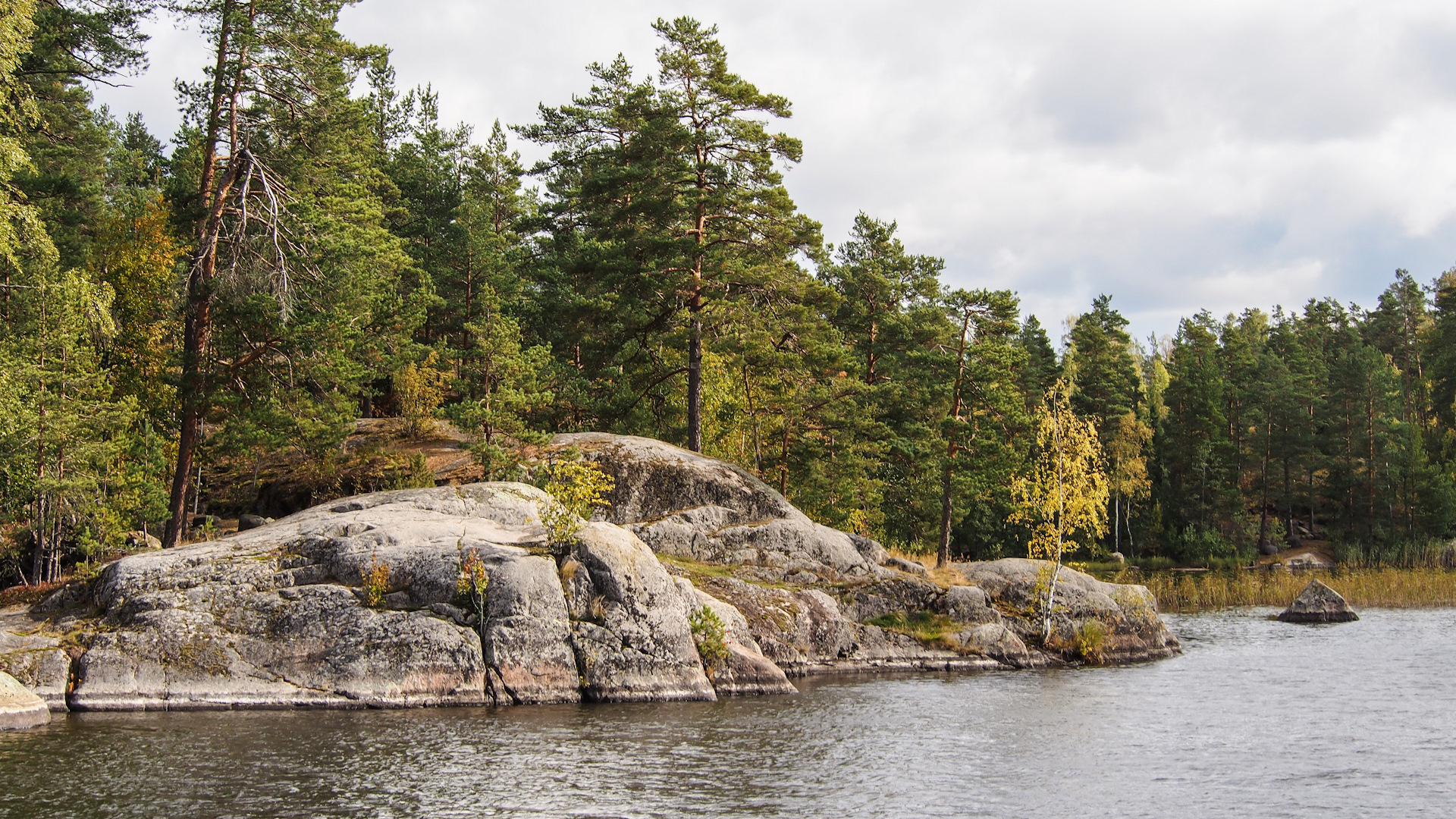 vuoksa.jpg