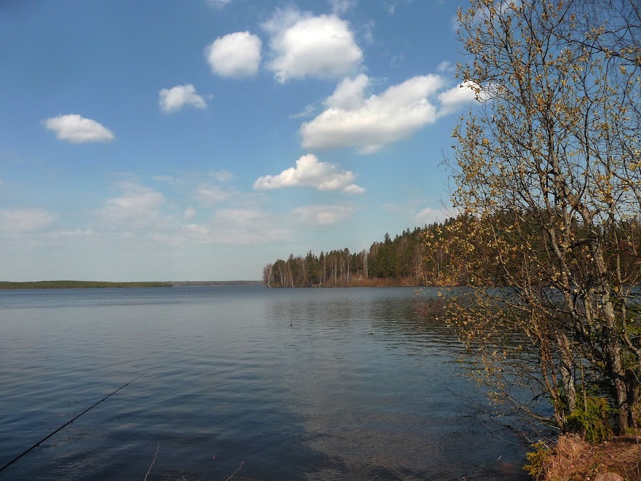 kavgolovskoe-ozero.jpg
