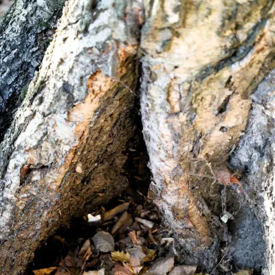 Фото 4