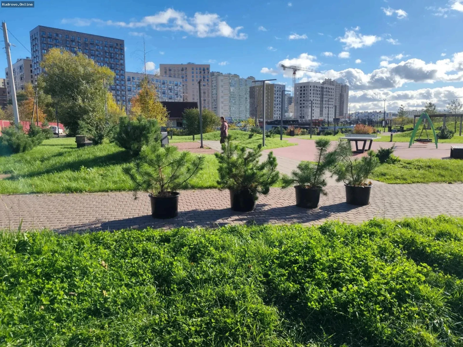Итоги осенней кампании по  озеленению в  Заневском поселении