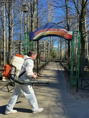 Акарицидная обработка в  Заневском поселении