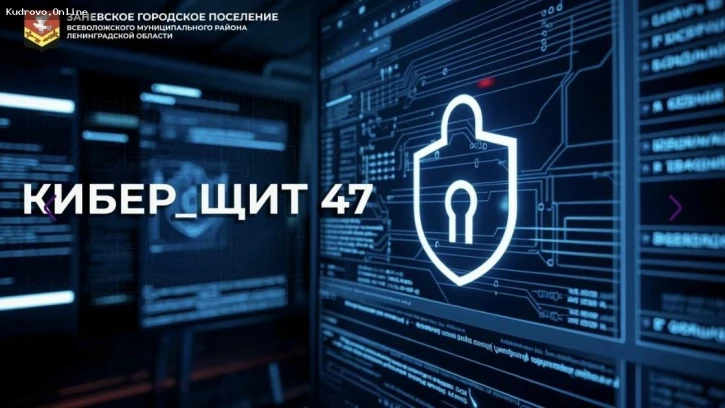 Проект «КиберЩит 47» повысит цифровую грамотность молодёжи