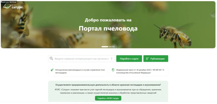 Рекомендации для пользователей портала «Пчеловод»