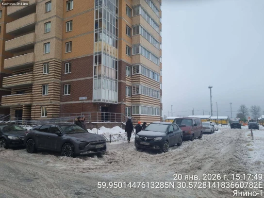 Проверка дворов в Янино