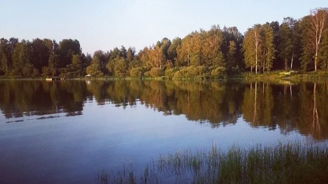 Лемболовское озеро