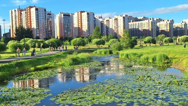 Парк на реке Оккервиль