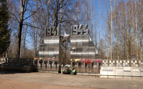 Синявинские высоты