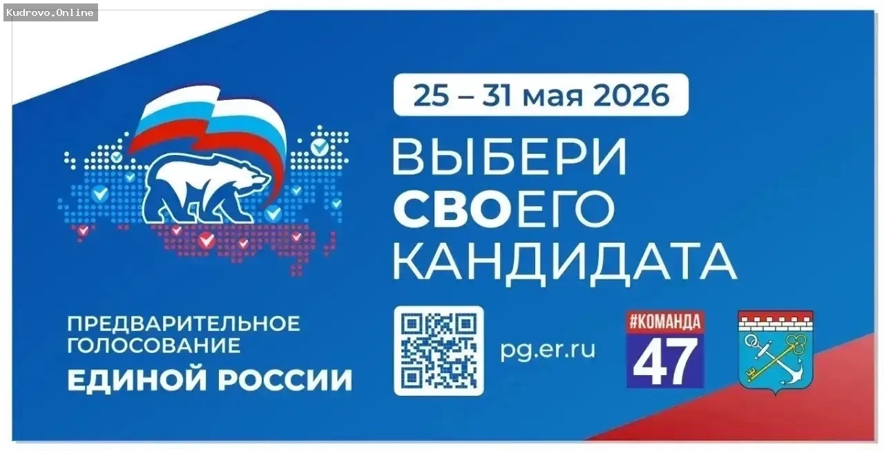 Праймериз «Единой России» в Ленобласти: активная стадия