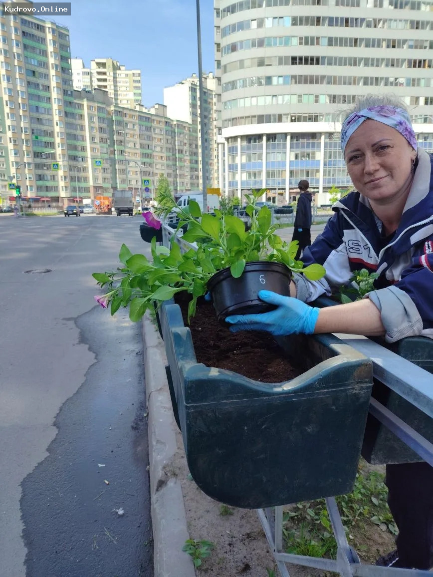Цветение в Заневском поселении
