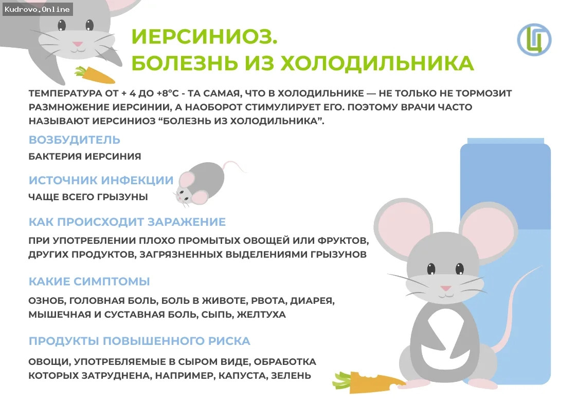 Иерсиниоз: угроза из холодильника