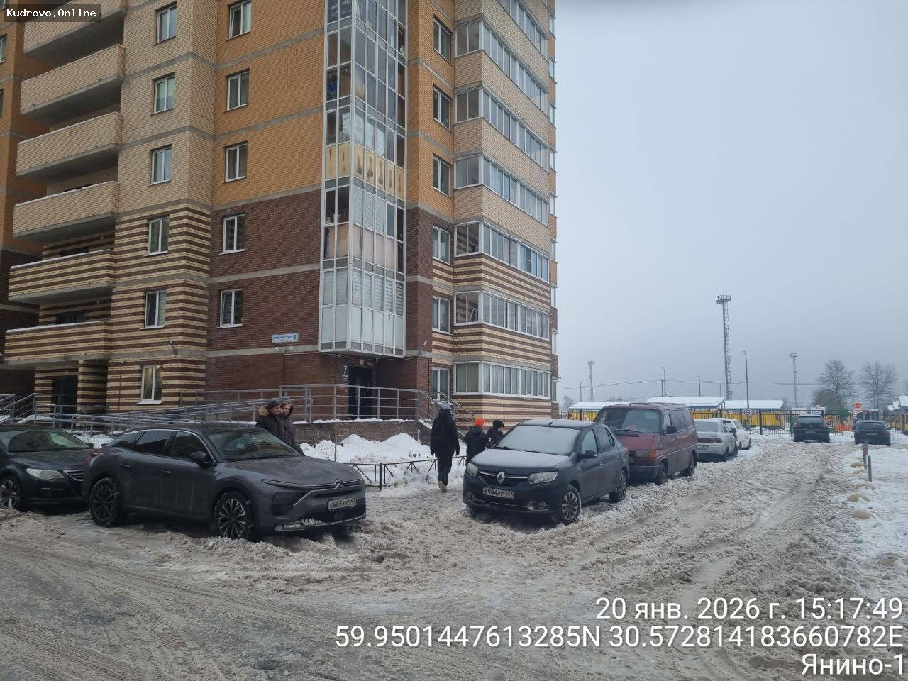 Проверка дворов в Янино